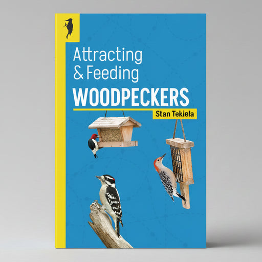 Attracting and Feeding Woodpeckers