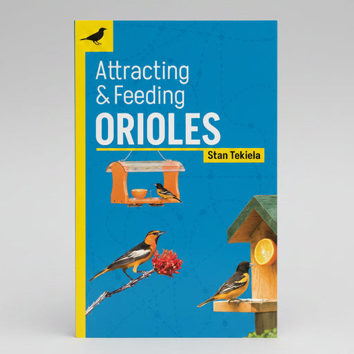 Attracting & Feeding Orioles