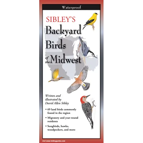Sibley's Backyard Birds of the Midwest