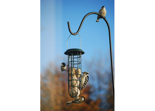 Mesh Suet Ball Feeder with Roof hanging