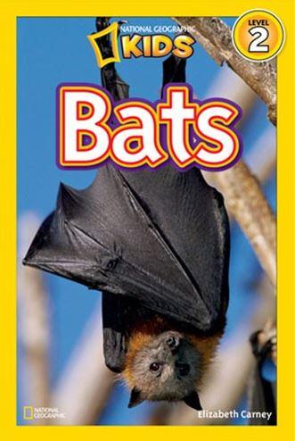 Bats National Geographic Kids