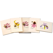 Bumblebee Assortment Notecard Boxed Set