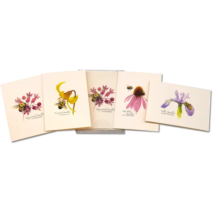 Bumblebee Assortment Notecard Boxed Set