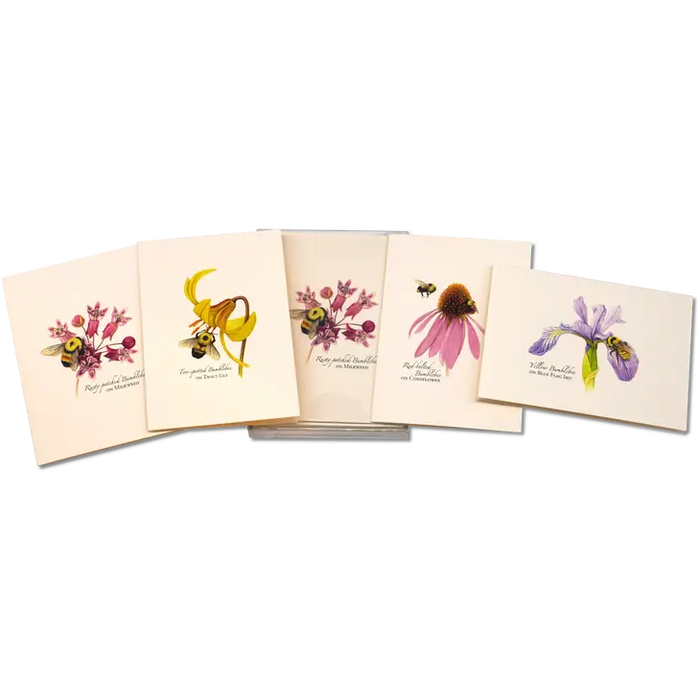 Bumblebee Assortment Notecard Boxed Set