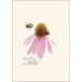 Bumblebee Assortment Notecard Boxed Set - red-belted bumblebee