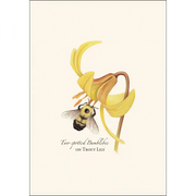 Bumblebee Assortment Notecard Boxed Set - Two-spotted bumblebee