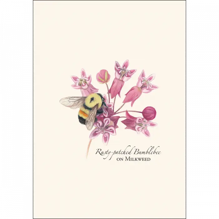 Bumblebee Assortment Notecard Boxed Set - rusty-patched bumblebee