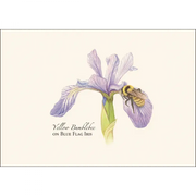 Bumblebee Assortment Notecard Boxed Set - Yellow Bumblebee