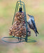 Mr. Bird's Seed Bell Hanger - happy visitor