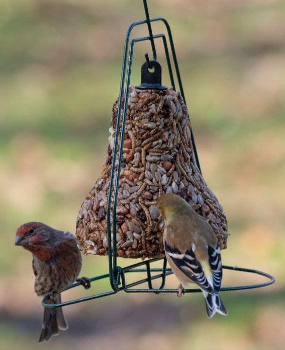 Mr. Bird's Seed Bell Hanger - Finches on the Perches