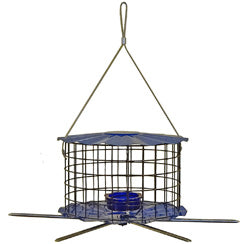 Barrier Guard Bluebird Feeder with Perch assembled
