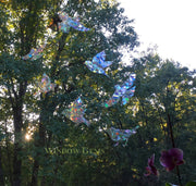 set of Bird Window Clings