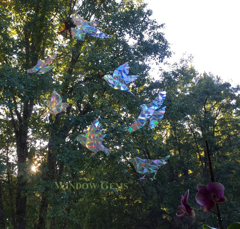 set of Bird Window Clings