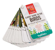 Beetle & Bee Little Birder Set-Bird Watching for Kids - bird guide