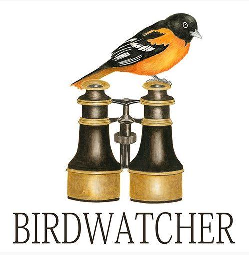 Birdwatcher Single Flour Sack Towel - Oriole
