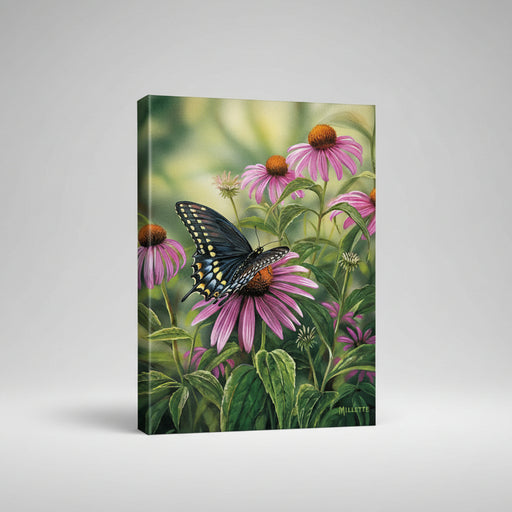 Black Swallowtail Butterfly Gallery Wrapped Canvas