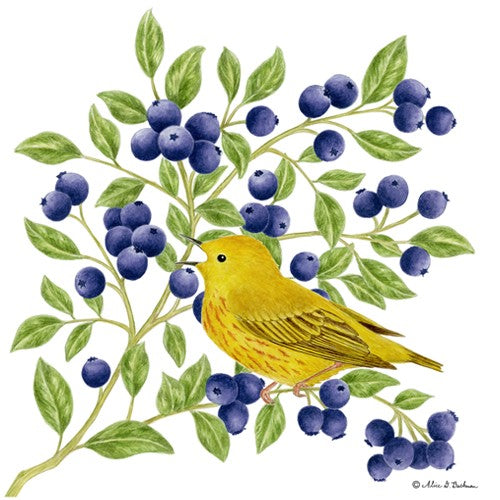 Blueberries & Yellow Warbler - Single Flour Sack Towel
