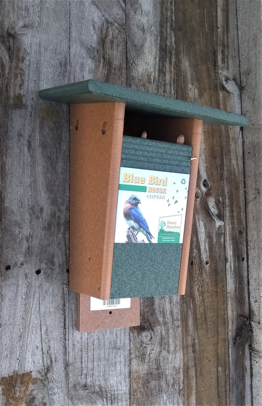 Sparrow Resistant Bluebird House - Turf Green/Cedar