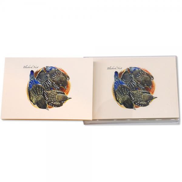 Bluebird Nest Notecards