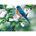 Bluebird on Apple Blossoms 1000 Piece Puzzle