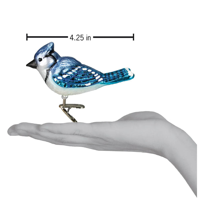Copy of Bright Blue Jay Ornament - Clip On scale comparison