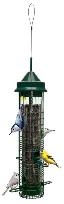 squirrel buster classic feeder