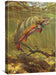 Brook Trout & Royal Coachman Gallery Wrapped Canvas