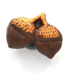 Acorn Magnet
