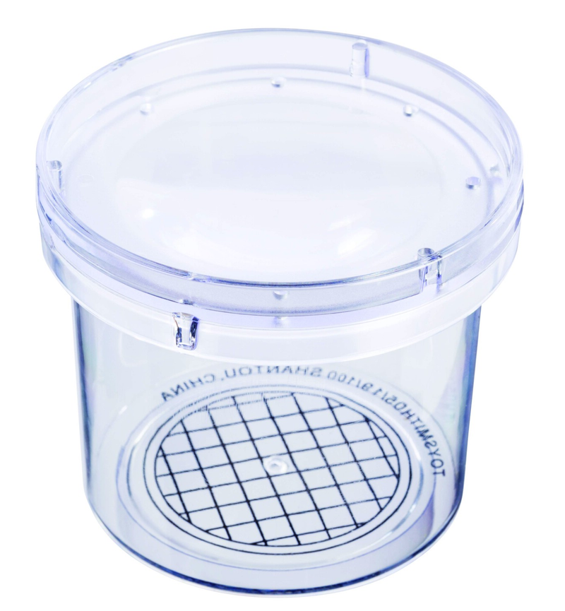 Magnifying Bug Viewer