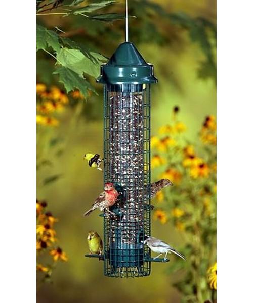 squirrel buster classic feeder