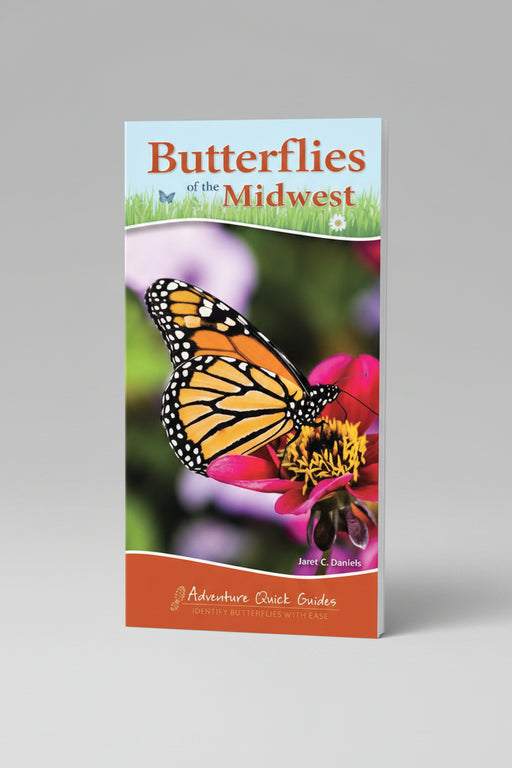 Butterflies of Midwest Quick Guide