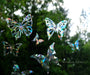 set of Butterfly Window Clings