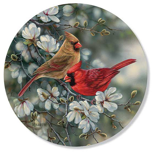 Cardinals Coasters - Set of 4