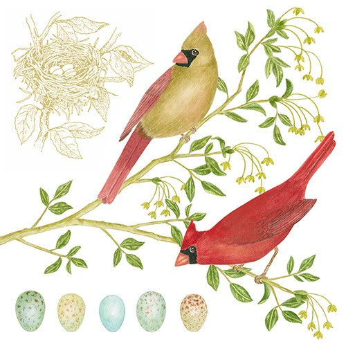 Cardinals with Eggs - Single Flour Sack Towel