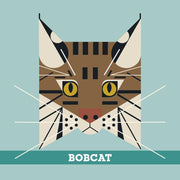 CHARLEY HARPER’S ANIMALS MEMORY GAME