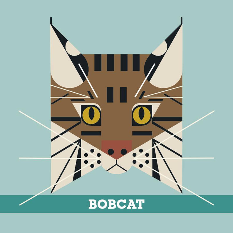 CHARLEY HARPER’S ANIMALS MEMORY GAME