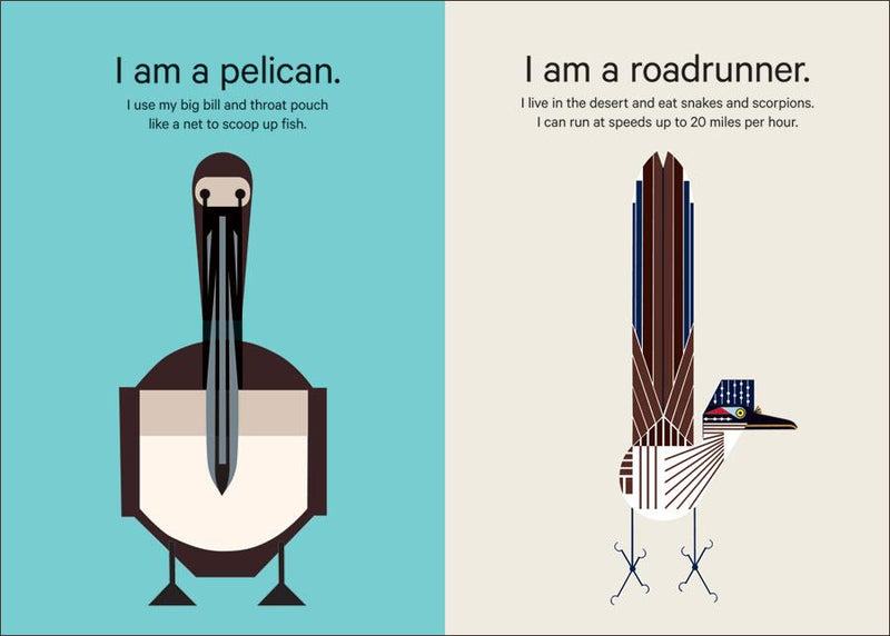 Reusable bird stickers