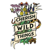 Cherish Wild Things Sticker