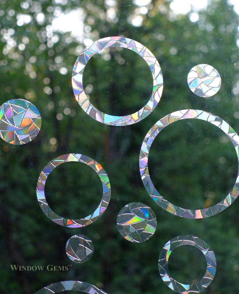 Rings and Circles Window Clings bird collision