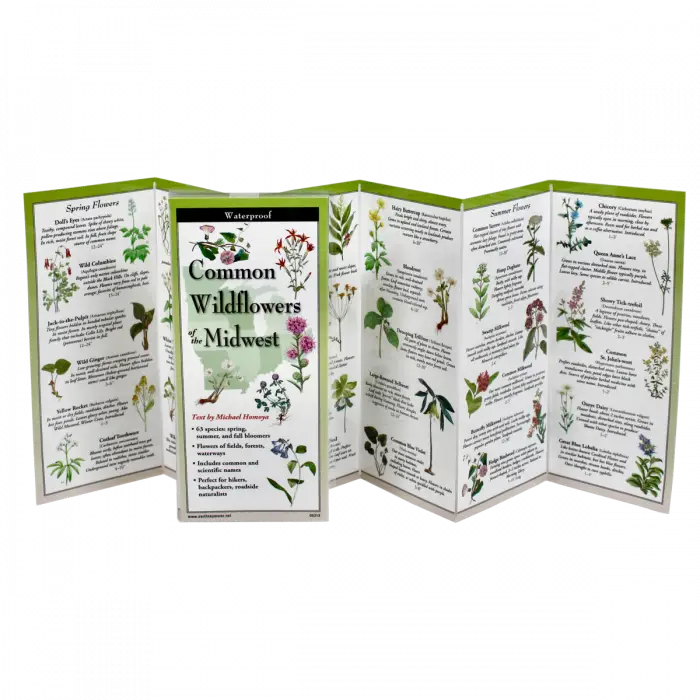 Common Wildflowers of the Midwest - Waterproof Guide