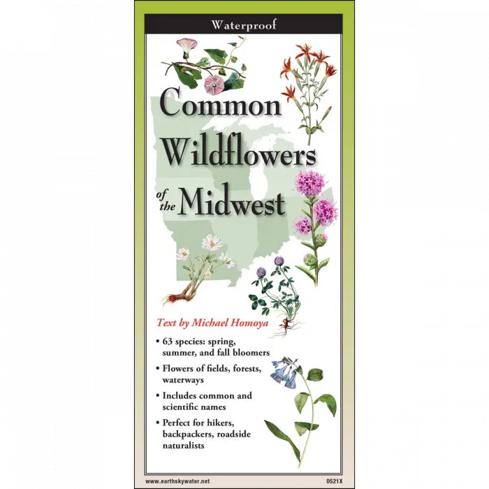 Common Wildflowers of the Midwest - Waterproof Guide