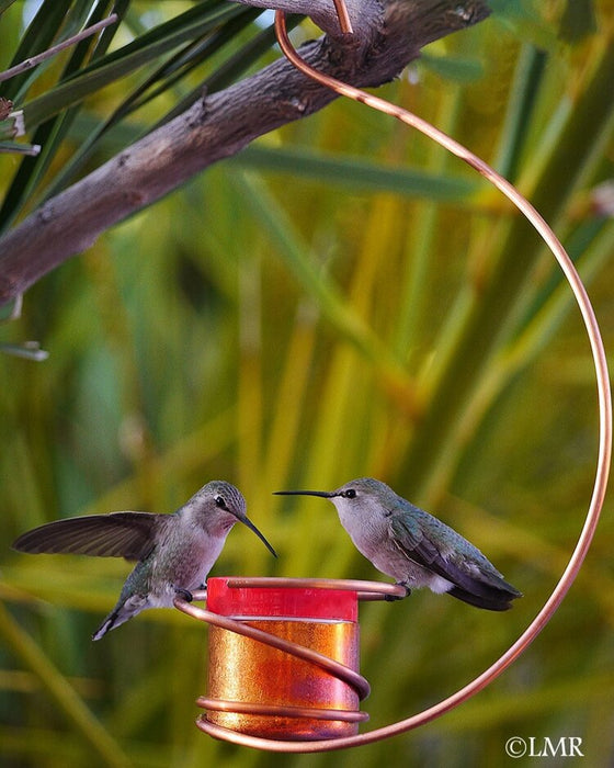 Single Copper Hummingbird Feeder II