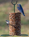 Mr. Bird Cylinder Feeder - for many different birds