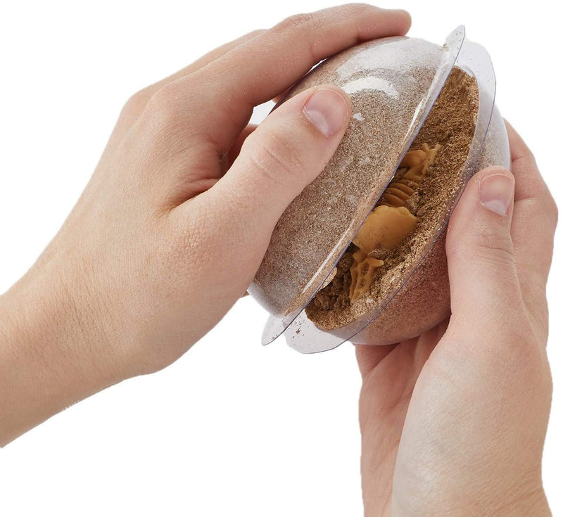 Dig It Up!: Create and Dig Eggs kit form mindware