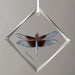 Widow Skimmer Male Diamond-Shape Glass Ornament