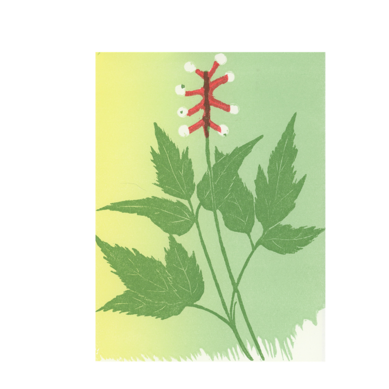 Gwen Frostic: Dolls Eyes Greeting Card