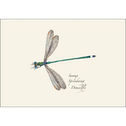 Dragonfly & Damselfly Assortment 2 Notecard Boxed Set - Swamp Spreadwing Damselfly
