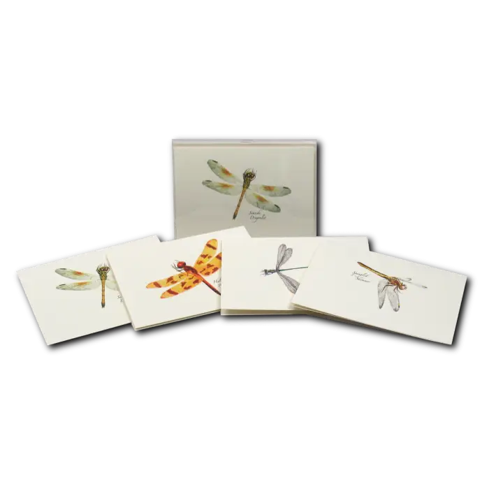 Dragonfly & Damselfly Assortment 2 Notecard Boxed Set