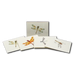 Dragonfly & Damselfly Assortment 2 Notecard Boxed Set