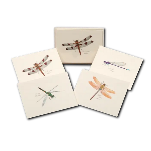 Dragonfly and Damselfly Assortment Notecard Boxed Set